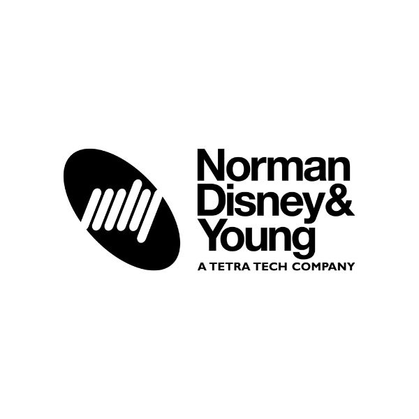 Logo of Norman Disney & Young founding partner of MECLA