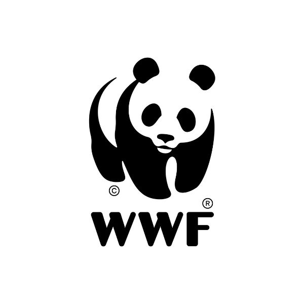 WWF Logo image - co-managers of the MECLA project